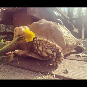 Meet your Posher, Marie